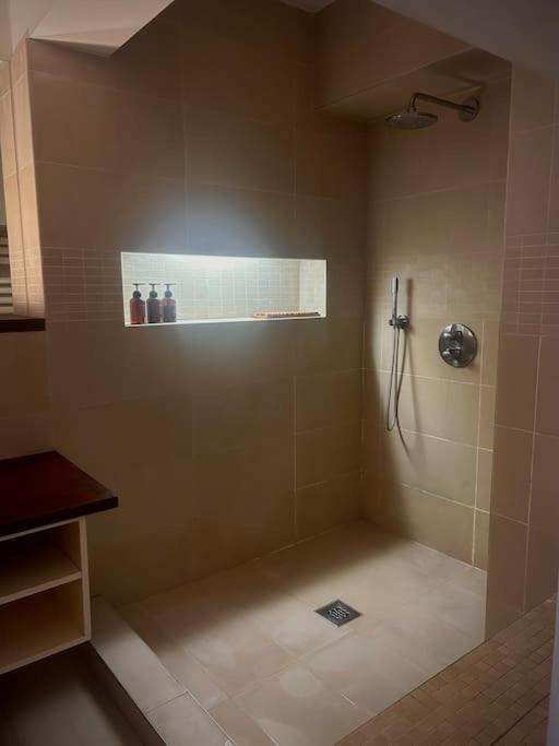 Down Town Spacious Duplex With Private Parking & Game Căn hộ Brussels